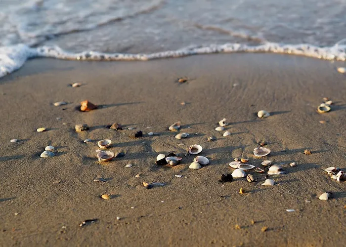 Apartment Spacious With A Bright Outdoor Terrace Bibione