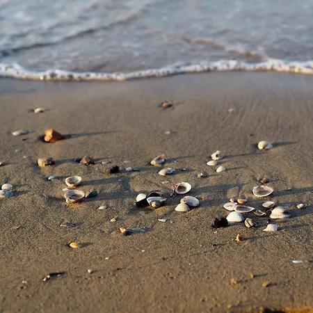 Апартаменти Spacious With A Bright Outdoor Terrace Бібіоне